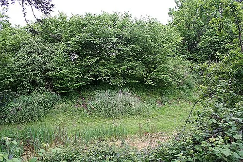 The moat of Hanley Castle A rather sad looking sight for what was the heart of the community 8oo to 600 years ago, but no doubt, excellent for the wildlife.
