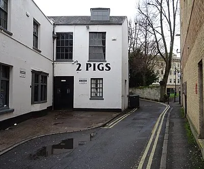 2 Pigs