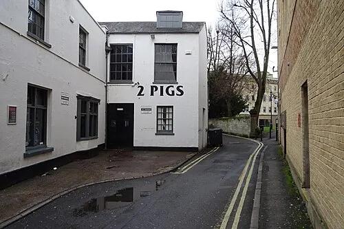 2 Pigs