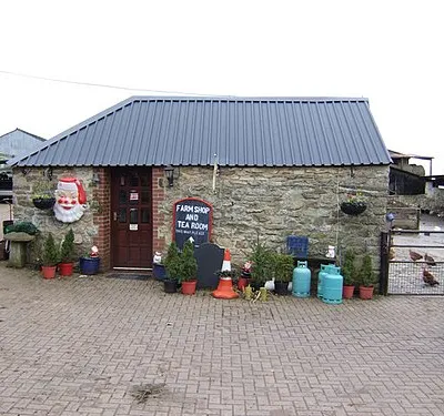 Red Down Farm Shop Great free range eggs from the hens on the right! The shop is well stocked and much bigger than it looks from here.