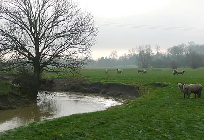 Approaching Crimscote