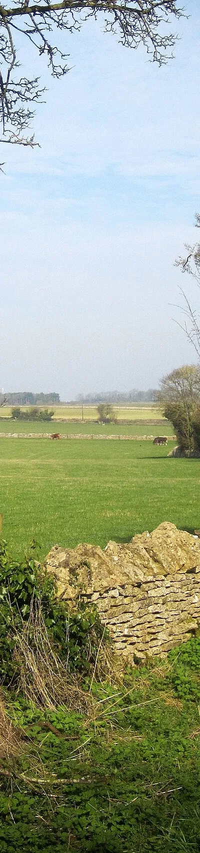 Cattle pasture near Eastington