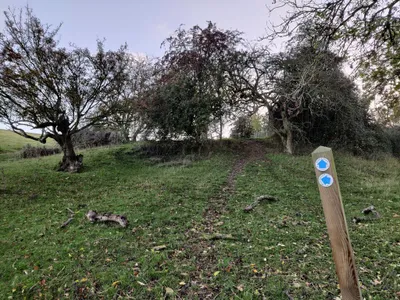 Bridleway ascending Bredon Hill