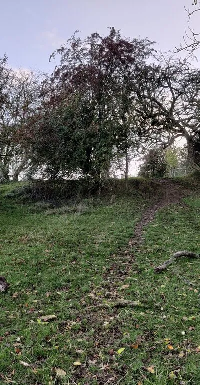 Bridleway ascending Bredon Hill