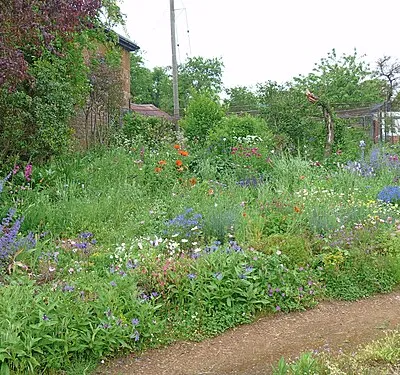 An English country garden [2]