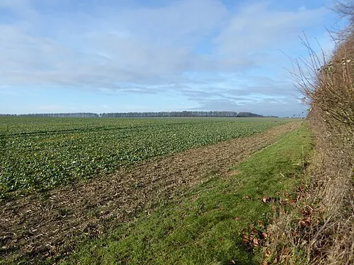 White Horse Hill to Ashdown Walk, White Horse Hill