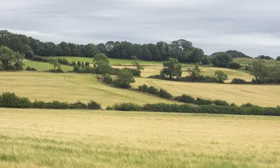 Arable fields next to Hidcote, 1