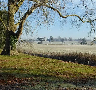 A frosty morning in Croome Park