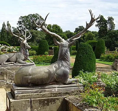 A pair of stags