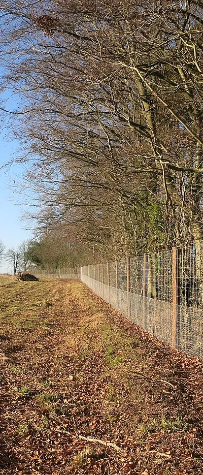 Deer proof fence by the path