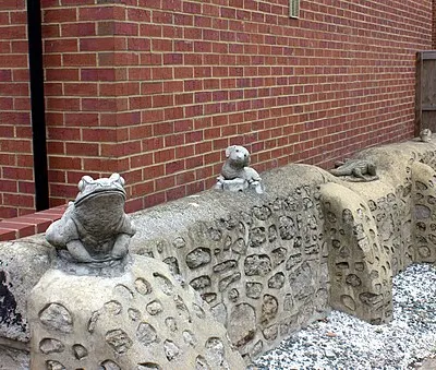 Frog, dog and alligator