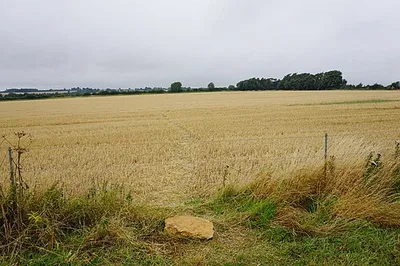 Path across a harvested field