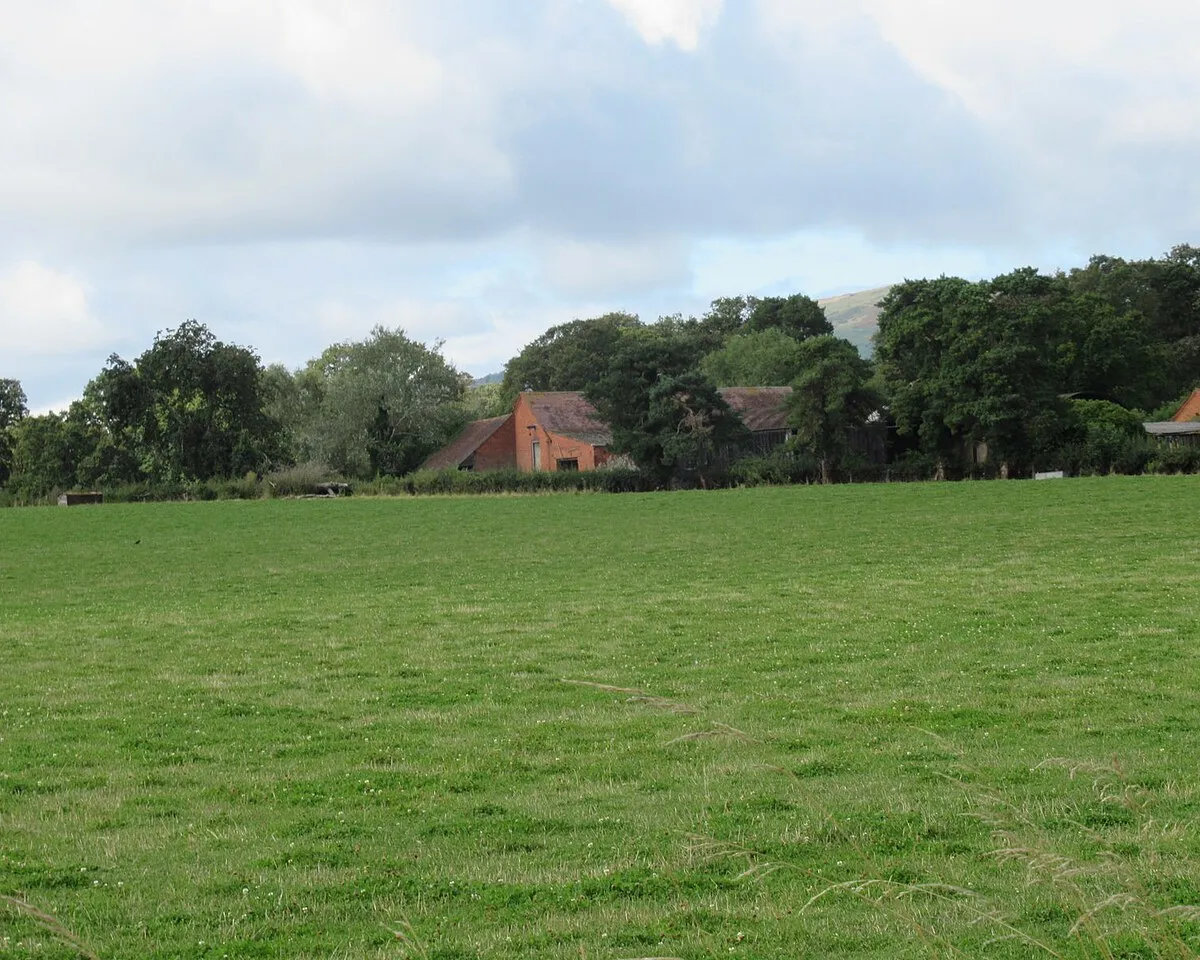 Across the field to Upper Woodsfield Farm