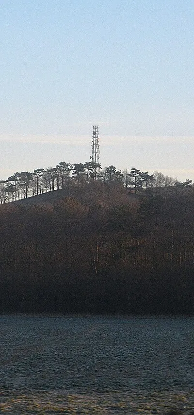 Borough of Swindon : Grassy Field