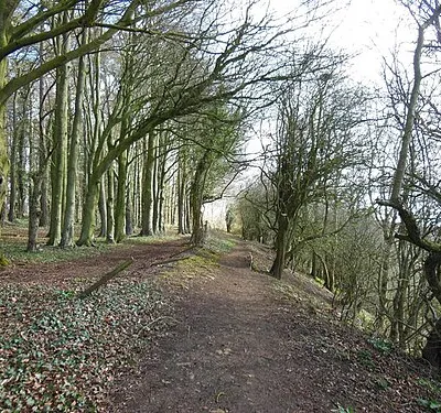 Barrow Piece Plantation