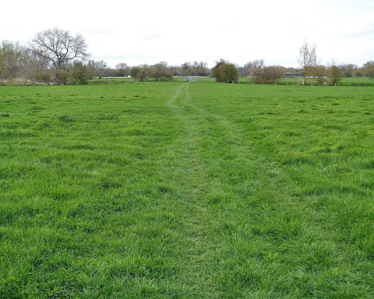 Across the field