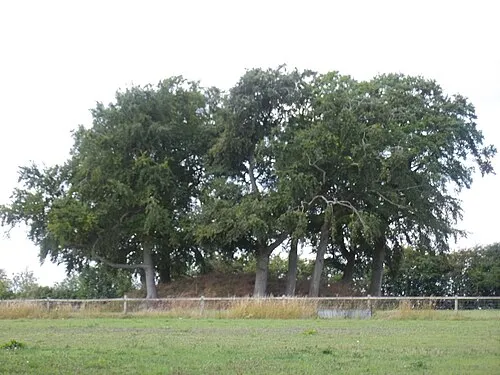 The Mount