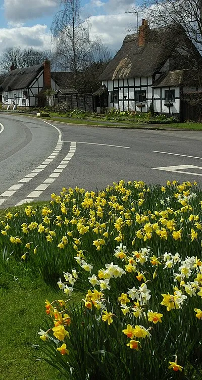 Daffodils and thatched cottages