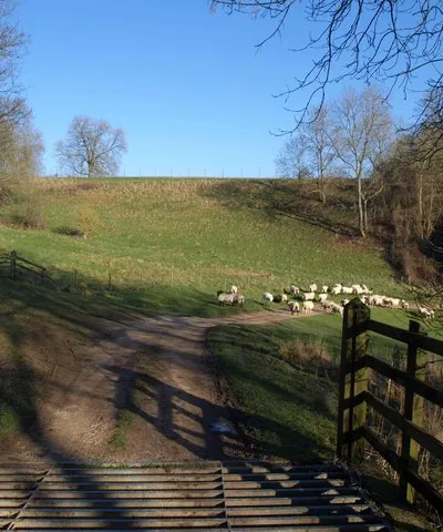 Bridleway, Ozleworth