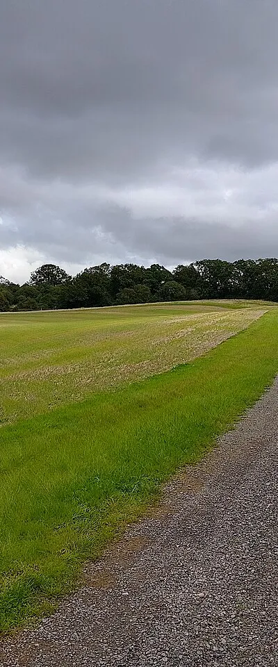 Bridleway towards Hoe Benham