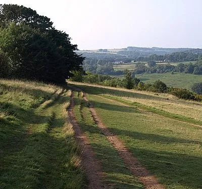 Cotswold Way, Leckhampton Hill. Another view of the stretch of path shown in 976922. In the background is the head of the Bittams valley.