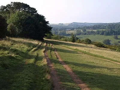 Cotswold Way, Leckhampton Hill. Another view of the stretch of path shown in 976922. In the background is the head of the Bittams valley.