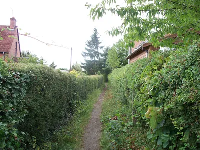 Between the houses