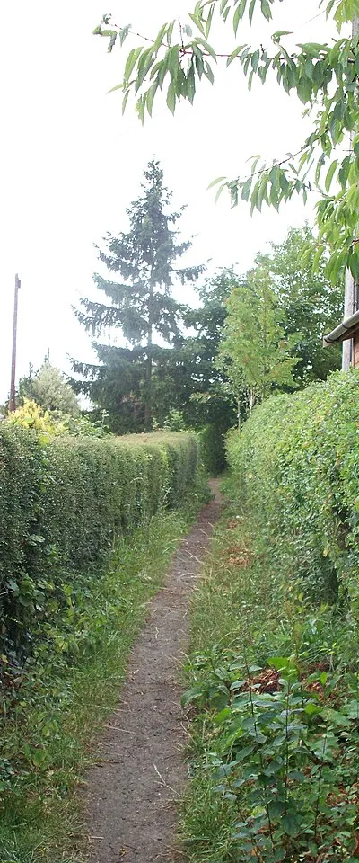 Between the houses