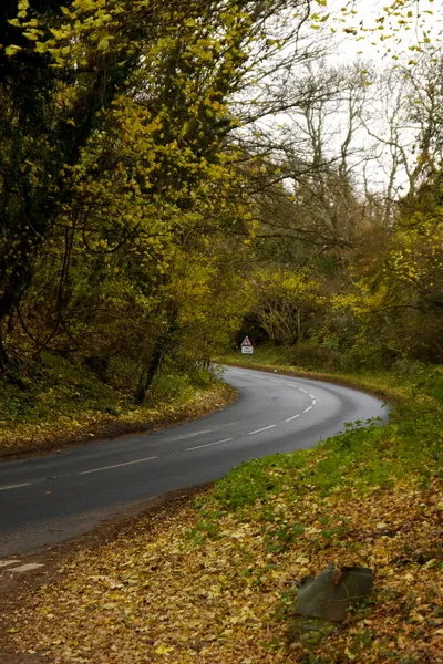 Birdlip Hill