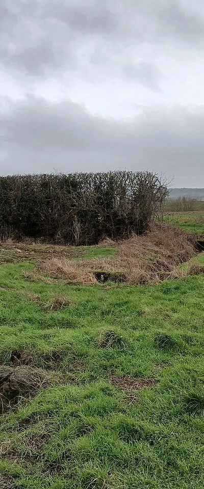 Bridges over the ditch