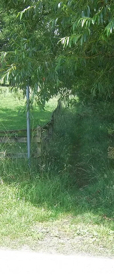 Bridleway meets road