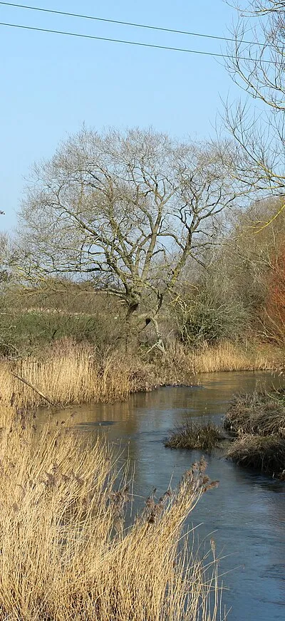2011 : River Avon near Langley Burrell
