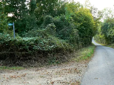 Bridleway and road junction, near Frampton Mansell This image was taken facing west south west along a very quiet back road that takes you into the picturesque village of Frampton Mansell a little over a kilometre away. At the left is the entrance to a bridleway that runs parallel with Broad Ride, part of the Earl of Bathurst's estate. The northern gridline of the square is about 15 metres to the right of the viewpoint.