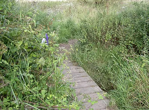 Greystones Nature Reserve