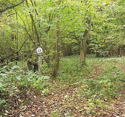 Arle Grove