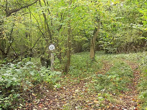 Arle Grove
