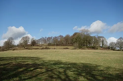 Celia's Coppice, Fernham