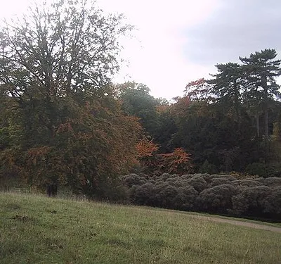 Autumn Colour at Westonbirt Arboretum