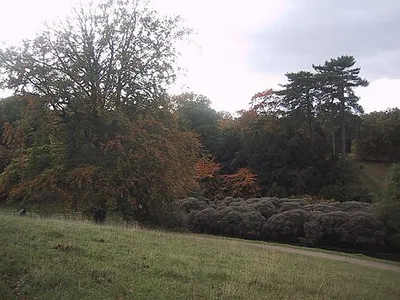 Autumn Colour at Westonbirt Arboretum