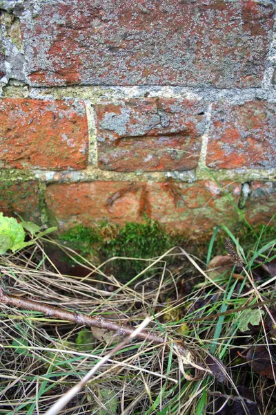 Benchmark on Forest Road railway bridge