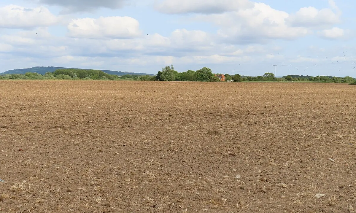 Arable field at Holdfast