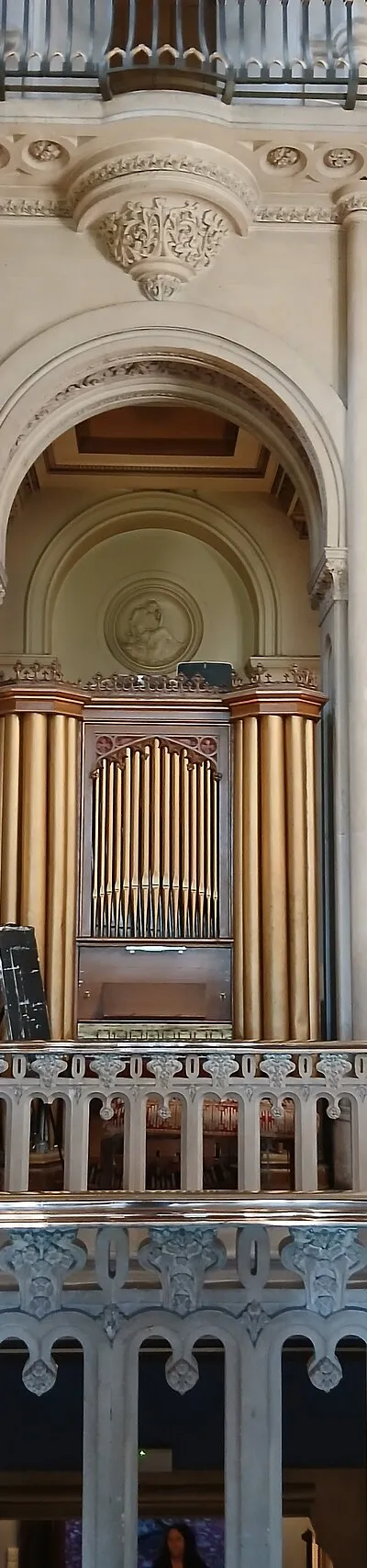 Atrium organ