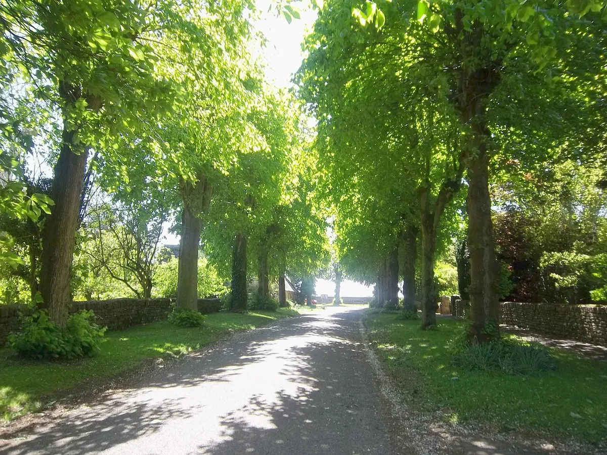 Avenue at Heythrop