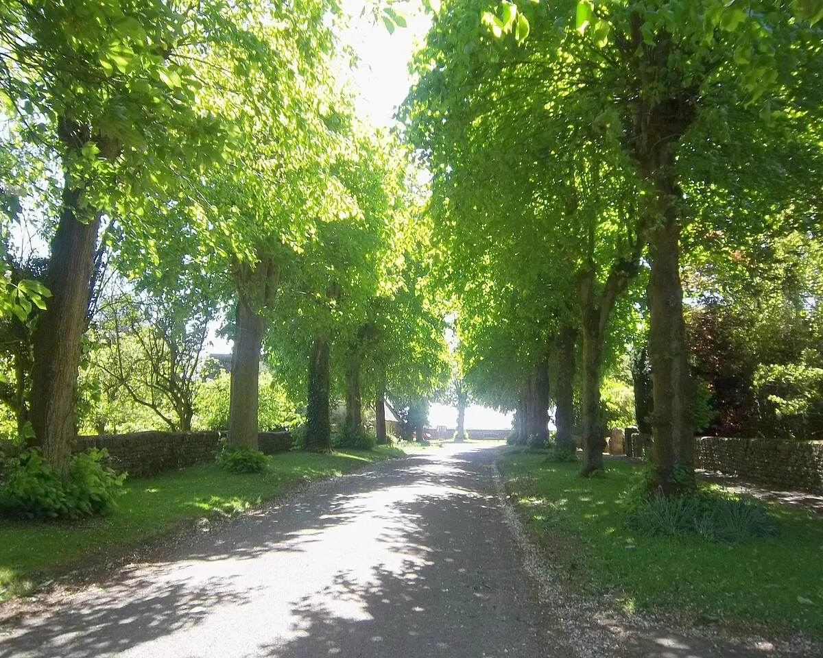 Avenue at Heythrop