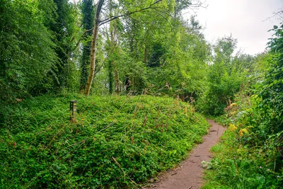 Bathampton : Footpath