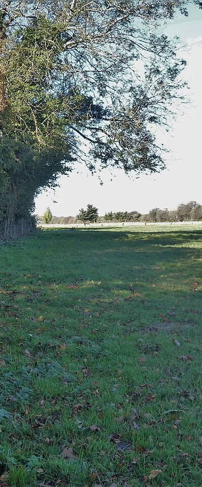 Along the field edge