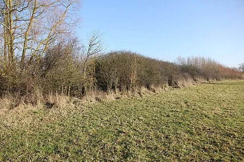 Standlake Common Nature Reserve