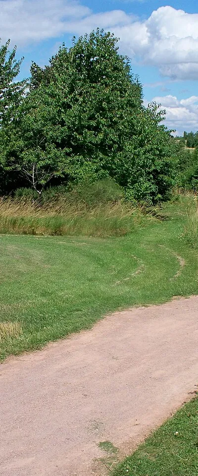Across the cart path