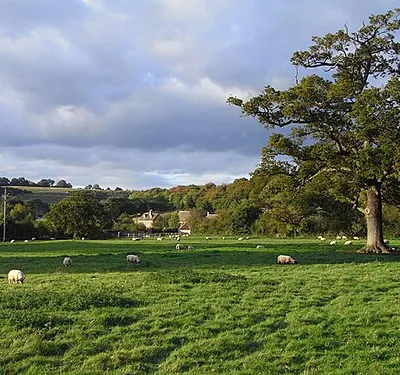 Pastures, Whittington Looking towards the village from the site of the deserted medieval village.