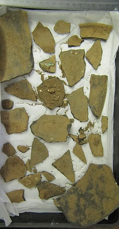 Treasure Report for H.M Coroner
2015 T656 - Vessel and bracelet hoard, from near Wakefield, West Yorkshire
To be known as the 'Brookfield Hoard' (named after the finders, at their request)
PAS no.: SWYOR-1494DB
Circumstances of Discovery 
On 13th September 2015, a group of Iron Age objects were found by [name redacted] while metal detecting at a 'Coil to the Soil' rally in North Elmsall, near Wakefield in West Yorkshire (grid reference provided). Amy Downes, Finds Liaison Officer for the Portable Antiquities Scheme in West Yorkshire, was able to attend the site within two hours of the discovery. The finds included a copper alloy strainer vessel, a pottery vessel, and five copper alloy bracelets - a single wire piece and two pairs in more robust designs. The finder reported that the strainer was found inverted on top of the upright pottery vessel, with the five bracelets underneath the pot. The four larger bracelets were interlinked at the bottom of the deposit, with the more delicate bracelet on top of them. These finds were lifted on the day of discovery. The pottery vessel collapsed during lifting.
Other finds, including Roman sestertii, were made in the same area by detectorists taking part in the rally, but these did not seem to be directly associated with the strainer hoard (see 2015 T658).
Archaeological Investigation
The day after the discovery, 14th September 2015, a team from West Yorkshire Archaeology Advisory Service (WYAAS) and Archaeological Services WYAS (ASWYAS) attended to carry out a small-scale excavation (ASWYAS Report No. 2804). A test pit measuring 2.15m x 1.50m was excavated by hand by archaeologists Ian McIntyre (ASWYAS) and David Hunter (WYAAS). This test pit was an expansion of several smaller pits dug on the previous day by members of the detecting club. A metal detector was used to comprehensively scan the test pit, spoil and surrounding area.
The test pit revealed a feature, thought to be a linear terminus or a pit. The upper fill contained large stones, possibly suggesting a packing material. It contained one sherd of Romano-British pottery along with animal bone, fired clay and iron nails. The lower fill contained Romano-British pottery sherds and one small piece of burnt bone. The feature was not excavated to its base. In total, the additional finds recovered as part of the archaeological excavation comprised 23 sherds of pottery, eleven bone fragments, four pieces of fired clay, an iron nail, and a possible piece of iron slag.
Due to the complexity of the underlying geology, and the digging which had occurred the previous day, it was not possible to ascertain with certainty whether the strainer hoard was from the same feature as the archaeological finds. However, given the rarity of Roman pottery in West Yorkshire, it is likely that the two could be linked (Hunter and Sanderson, pers. comm.). However, because they cannot be conclusively demonstrated to be part of the same find, the archaeological finds are not included in this Treasure report.
Description
1.Copper alloy strainer
A round-bottomed hemispherical bowl made of thin, copper alloy sheet. The wide, projecting rim has a separate binding-strip attached around the edge.
The bottom of the strainer bowl is decorated with small perforated holes, just over a millimetre in diameter, forming a decorative pattern centred on the base of the strainer. There are two concentric outer rings of holes and, in the centre, a triskele radiates outwards from a small central circle. The design covers around a third of the depth of the bowl, although this is much of the visible surface area when looking directly down into the strainer. The remaining surface area of the upper bowl is smooth and undecorated.
The strainer bowl is rimmed with a wide, flat flange. The bowl and flange were made from one sheet of copper alloy, either beaten into shape or turned on a lathe. Around the circumference of the flange a separate copper alloy binding strip has been added.
The strainer is mostly complete but has suffered plough damage to around a third of its side prior to discovery, in this area the rim has been torn away and the flange is heavily damaged. There is also some damage to the decoration on the base.
Parts of the outer side of the base have a rich, smooth, dark green patina. The rest of the surface is more corroded, both inside and outside the strainer, with areas of lighter green concretions.
There are also three detached fragments: two binding fragments and one section of flange. One binding fragment has a clean edge suggesting that this was the point on the circumference where the two ends of the binding strip met.
Measurements:
Maximum diameter of bowl (including flange): approx. 200 mm; width of binding: 5mm; depth of binding: 4 mm; thickness of binding in cross-section: 0.5-1.0 mm; width of flange (including binding): 25 mm; diameter of bowl (excluding flange): 151 mm; depth of strainer: 64 mm.
Diameter of outer circle of perforated holes: 95 mm; diameter of inner circle: 89 mm; diameter of central circle inside triskele: 20 mm.
Weight: 291g
Smallest binding fragment: Length: 24.5mm, Weight: 0.89g
Longest binding fragment: Length: 133mm, Weight: 12.72g
Flange fragment: Maximum remaining length: 48mm, Maximum remaining width: 29mm, Thickness in cross-section: 0.2-0.4mm, Weight: 3.63g
Parallels:
Hemispherical strainer vessels are rare finds. The closest parallel to the Brookfield hoard strainer is one from the Langstone hoard (NMGW-9C0216; Gwilt et al. Unpublished Treasure Report). Found near Newport, South Wales, in 2007, this hoard consisted of a strainer vessel and two metal bowls. A tankard was also found nearby. The Langstone strainer is similar in many respects to the Brookfield find: both are decorated with a triskele design, and have wide flanges. However, the Langstone strainer is slightly smaller, and has handles attached to both sides, whereas Brookfield has no handles. Langstone also has a simple up-turned rim, rather than a separate binding strip. The rendering of the triskele also differs, with the Langstone triskele depicted through the 'absence of perforations' in the base of the bowl, contrasting with the perforated design of Brookfield (Gwilt et al. Unpublished Treasure Report).
In his write-up of the Langstone hoard, Gwilt (Gwilt et al. Unpublished Treasure Report) lists several other comparable finds based on the corpus of broad-flanged strainers without handles published by Tomalin (1989). Three are from vessel hoards in Wales (finds from Manorbier and Cogyan Cave), one from a hoard at Helmsdale in Sutherland, north Scotland, and two single finds have been recovered: one from Marston Moor near York, and one from Thorpe, in Suffolk. The strainers from vessel hoards are associated with Romano-British style objects, such as trulleii and shallow bowls, which Tomalin (1989) used to suggest a date in the later first or early second century AD.
However, the Langstone strainer was found in conjunction with two Iron Age style bowls, of earlier date. As the strainer fits both bowls, it is believed all three functioned as a set. Gwilt uses this association to argue for pushing the dating of these strainers back to earlier in the first century AD. For the Langstone find, he suggests a date of AD 40-60 for manufacture, and burial in the period AD 40-75, around the time of the Roman campaigns in Wales (AD 47-78) (Gwilt et al. Unpublished Treasure Report).
Gwilt's dating is also borne out by his observation of the designs on the southern strainers, which are typical of conquest-period Celtic art. The Welsh strainers often combine indigenous decorative traditions with new Romano-British style designs, incorporating various combinations of triskeles, running-scrolls and geometric border decoration of infilled triangles. The Thorpe strainer, a single find from Suffolk, does not feature a triskele, but nevertheless does have a 'triple' element to its design. Most of the bowl was destroyed during gravel extraction, but enough survives that the design can be reconstructed to view the perforated outline of three circles at the top of the bowl. This potentially echoes the triskele design on the Langstone (Gwilt et al. Unpublished Treasure Report) and, now, the Brookfield strainer.
The Brookfield strainer, with its triskele design, seems to fit best with this group of early strainers identified by Gwilt, suggesting a date of manufacture around the mid-first century AD. The two other northern strainers, from Helmsdale, Sutherland (Curle 1931) and Marston Moor Yorkshire (Tomalin 1989) are probably of later date. Their bowls are decorated with Romano-British style flower patterns, and their flanges are either punched (Marston Moor) or impressed (Helmsdale) with motifs. These two strainers likely date to around AD 80 -120 (Gwilt et al. Unpublished Treasure Report).
2. Copper alloy ribbed bracelet
Penannular copper alloy bracelet, D-shaped in cross-section with flatter side on interior. Terminals are flat sections through the bracelet with no additional decoration. Terminals more oval than the D-shaped cross-section of the rest of the bracelet. This may suggest that continued wear changed the overall cross-section at the back. Smooth on interior surface with a central line, suggesting possible rolled construction. Outer surface is decorated with ribbed decoration. Raised transverse ribs (approx. 3mm wide) alternate with lower ridges of beaded decoration (approx. 1mm wide). There are 38 bands of decoration. Green patination, with some evidence of wear and polishing on both the interior and exterior near the middle of the bracelet, predominantly on one side.
Measurements: Max diameter 85 mm; internal diameter 66 mm; Terminals: 12 mm by 9.5 mm and 14 mm by 9 mm; width in cross-section 8.5-10 mm; weight: 158.3g
3. Copper alloy ribbed bracelet
Penannular copper alloy bracelet, oval in cross-section with slightly flatter side on interior. Terminals are flat sections through the bracelet with no additional decoration. Outer surface is decorated with ribbed decoration. Raised transverse ribs (approx. 3mm wide) alternate with lower ridges of beaded decoration (approx. 1mm wide). There are 39 bands of decoration. Green patination, with little evidence of wear, although there is some polishing on external surface near one of the terminals.
Max diameter 85 mm; internal diameter 65 mm; Terminals: 12 mm by 9 mm and 13 mm by 9mm; width in cross-section 8.5-10 mm; weight: 154.8g
4. Copper alloy heavily worn, ribbed bracelet
Penannular copper alloy bracelet, lentoid in cross-section at the terminals, swelling to a more D-shaped cross-section at the back. Terminals are flat sections through the bracelet with no additional decoration. Outer surface is decorated with almost erased, heavily worn ribbed decoration. Raised transverse ribs (approx. 3-4mm wide) alternate with lower ridges of (?)beaded decoration (approx. 1mm wide). Green patination.
Max diameter 73.5 mm; internal diameter 65.5mm; Terminals: 9.5 mm by 4 mm and 10 mm by 4 mm; width in cross-section 3.5-5.5 mm; weight: 51.1g
5. Copper alloy heavily worn, ribbed bracelet
Penannular copper alloy bracelet, lentoid in cross-section at the terminals, swelling to a more D-shaped cross-section at the back. Terminals are flat sections through the bracelet with no additional decoration. Outer surface is decorated with almost erased, heavily worn ribbed decoration. Raised transverse ribs (approx. 3-4mm wide) alternate with lower ridges of beaded decoration (approx. 1mm wide). Green patination.
Max diameter 71 mm; internal diameter 63 mm; Terminals: 9.5 mm by 4.5 mm and 10 mm by 4 mm; width in cross-section 3.5-5.5 mm; weight: 50.8g
Parallels
There are no direct parallels for the four Brookfield hoard bracelets. However there are close similarities to other finds from Britain, several of which are from graves. The design of raised transverse ribs and alternating beaded decoration is most similar to two bracelets found at the Kings Barrow, North Staffordshire (Lock et al., 2014, 86). There are also close parallels to bracelets from South Ferriby in Lincolnshire (May, J. 1976. fig 66, 5). Another bracelet similar to the South Ferriby example was found at Mount Batten, near Plymouth. These bracelets all have a circular shape and a hinging mechanism, either mortice and tenon or catch, which is absent from the Brookfield bracelets.
These examples were all viewed as having evolved from Halstatt and early La Tène continental bracelet types of the fourth to third century BC (May 1976, 125; Lock et al, 2014, 85). Cunliffe (1988, 61-2) suggested that the Mount Batten bracelet might be an import, owing to its high lead content.
There are certainly close continental parallels for these bracelet types, including examples in the British Museum's Morel Collection from North Eastern France (Stead and Rigby 1999, pl 112). These ribbed bronze bracelets also have undefined terminals but none have the beaded separators found on the Brookfield bracelets.
However, there is nothing to suggest that the Brookfield bracelets are themselves imports. They could equally be of local manufacture. Indeed, the closest parallels to both form and design of Brookfield hoard bracelets are those found in Arras burials of Yorkshire dating to the late third to first centuries BC. Arras W43 is circular and without a hinging mechanism. The transverse ribs are separated by undecorated cuts instead of the beaded ridges seen at Brookfield. The inner surface of the bracelet is smooth and the terminals are slightly off centre when they meet (Arras W.43, Stead 1979, p74 fig 28.2). (Stead 1965, p52 fig 29. 3) Arras 5b (Stead 1965, p51 fig 28.1) also has undecorated dividers for the transverse ribs but the transverse ribs are more ovoid in shape.
6. Slim copper alloy wire bracelet with wound fastening
Circular copper alloy bracelet with square cross-section, broken into three pieces. At one point on the circumference, the two ends meet in a form of clasp or fastening, now broken. Possibly this has been constructed by wrapping the tapering ends of the bracelet around each other. The shortest piece comprises a short arc of the main section of the bracelet. The longer two pieces are separated at the clasp or fastening. On the longer piece all that remains of the fastening is the tapering end of the square-section wire, protruding approximately 6 mm from a tightly wrapped coil of rectangular-section wire. There are four complete turns to the coil. The broken tapering end originally joined a length of wire protruding from the other side of the fastening. This appears to form a flattened loop before coiling tightly around the opposite end of the square-sectioned wire bracelet. There are also four complete surviving turns. On this side, the tapering length of the square-section wire which protrudes from the coil curls back on itself, forming a U-shape. Whilst not all of the wire has been preserved, the remaining parts suggest that this was a permanently secured fastening, decorated in the middle with a series of loops. Only parts of two loops have survived but it is possible there were more.
Some areas of the surface have a smooth dark green patina but others have lighter green corrosion product.
Measurements: Maximum diameter 95 mm; width in cross-section of bracelet 2.6-2.9 mm; diameter in cross-section of the coiled fastening 6.2 mm;
Shortest piece: length 50 mm; weight 2.2g.
Shortest piece with a clasp: length 73 mm; weight 4.9g.
Longest piece, with clasp: length 94 mm, weight: 8.0g.
Total weight: 15.1g.
Parallels:
The closest parallel for this bracelet comes from Vindolanda (Birley and Greene p139, 140 cat. SF9025). On this complete object, the joining section (missing on the Brookfield example) is an elaborate series of loops, which had been broken at one end, and repaired in antiquity. The Vindolanda bracelet does not have the square section of the Brookfield example but is otherwise very similar in form. The bracelet is identified as a 'very elaborate style of a Type 8 bracelet, South Shields, Tyne and Wear' (Birley and Greene p139, 140 cat SF9025, Type 8 to be found in Allason-Jones and Miket 1984: 126). The bracelet is dated to period IV (c. AD105 to c. AD122) at the fort.
Another potential parallel was found at Mount Batten, Plymouth, the body was made of twisted wire but it had a similar catch mechanism. This example was dated only as 'Roman?' (Cunliffe 1988, p62 fig 33.64).
7. Pottery vessel
Heavily fragmented globular vessel, narrowing towards the neck, and with wide, everted rim. Black sandy fabric with some buff/greyish areas, some white inclusions.
Rim can be largely reconstructed as can large parts of the body. The base appears to be heavily fragmented or missing.
The size of the strainer relative to the pot means that the strainer could have rested flat on the top. However this does not appear to have been the case. On one body sherd there is an area of greenish corrosion that corresponds to one of the areas of damage on the strainer, where the top of the bowl meets the inner edge of the flange. This suggests that the strainer had been lying inverted at an angle across the top of the pot, touching the side of the pot rather than the rim. The location of this area of damage on the strainer, directly opposite the plough damage, suggests that the strainer could have been knocked into this position by the plough.
A soil sample from inside the pot has been preserved. There are no obvious inclusions of animal bone or cremated bone but this would benefit from further study.
Measurements: Rim diameter: approx. 170 mm; widest part of pot: approx. 180 mm
Weight: approximately 910g.
Weight of soil sample from inside pot: approx. 600g.
Discussion
The Brookfield hoard most likely dates to the first century AD, based upon the objects within the hoard and the dating of similar hoards. However it may have been buried as late as the early second century.
Its location in north-central England is unusual, as only one other object hoard has been found in the area from the period 800 BC - AD 100. The only other object hoard known from this part of Yorkshire, the Honley hoard, was discovered c.12 miles away. The Honley hoard was buried at a similar time, around the end of the first century AD, but the hoard is very different in nature. It contains coins, a brooch, and strap fittings amongst other items. However, the region sees several coin hoards buried from the Iron Age onwards.
Generally the strainers are assumed to have been used for preparing and serving wine, or perhaps other alcoholic beverages. Strainers may also have had a medicinal purpose; an example included with the 'Doctor's' grave in Colchester had residue of Artemisia, commonly used for healing/remedies (Crummy 2007). The inclusion of a complete pottery vessel within an object hoard is unusual and may suggest that the strainer and pot were used together.
The five bracelets demonstrate a range of different influences; there are two pairs of Iron Age bracelets, and one later thinner-style piece most likely dated to the Roman period. One pair of Iron Age bracelets been heavily worn perhaps suggesting an 'heirloom' pair, and a less worn, potentially newer pair. Despite their differing patterns of wear, the bracelets are almost identical and closely resemble styles found in Iron Age graves in Yorkshire and Lincolnshire, potentially dating to the third or second century BC. At least 200 years earlier than the latest objects in the hoard. This contrast is heightened by the fifth Roman-style bracelet whose closest parallel was found at the Roman fort of Vindolanda. This combination of types is mirrored by the form and decoration of the strainer. The strainer form is Roman but the perforated pattern suggests Iron Age influences.
The composition of the Brookfield hoard is unusual; the mixing of personal ornaments and vessels is more commonly seen in grave goods, rather than hoards. However, the excavation of the surrounding area found no evidence of human bone, cremated or otherwise. Whilst the bracelets fit well with general Yorkshire/Lincolnshire distribution of the ribbed bracelet types, it is unusual to find them in a hoard context. The strainer itself is an unusual object, but fits with a pattern of similar finds from around the edges of the core Romano-British heartlands of the south-east. Overall, the Brookfield hoard can be seen as part of a wider conquest-period phenomenon which sees the mixing of local and Roman styles and ideas about dress and food preparation. The unusual aspect, in this case, is the hoard composition and the great time depth represented.
Conclusion
These finds represent a prehistoric base-metal assemblage, since at least 4 of the objects (the ribbed bracelets) can be securely assigned an Iron Age date, and the assemblage was probably buried around or before the time of the Roman conquest of the area. The group therefore qualifies as Treasure under the stipulations of the Treasure (Designation) Order 2002.
Potential Acquisition:
Wakefield Museum Services hope to acquire this find. They would also be the museum service to take receipt of the archive and finds from the archaeological investigation. For the purposes of future study, it would be useful for this material to be held by the same institution.
Julia Farley,
Curator of Iron Age Collections,
British Museum
Rachel Wilkinson
CDA Student,
British Museum and University of Leicester
16th January 2018